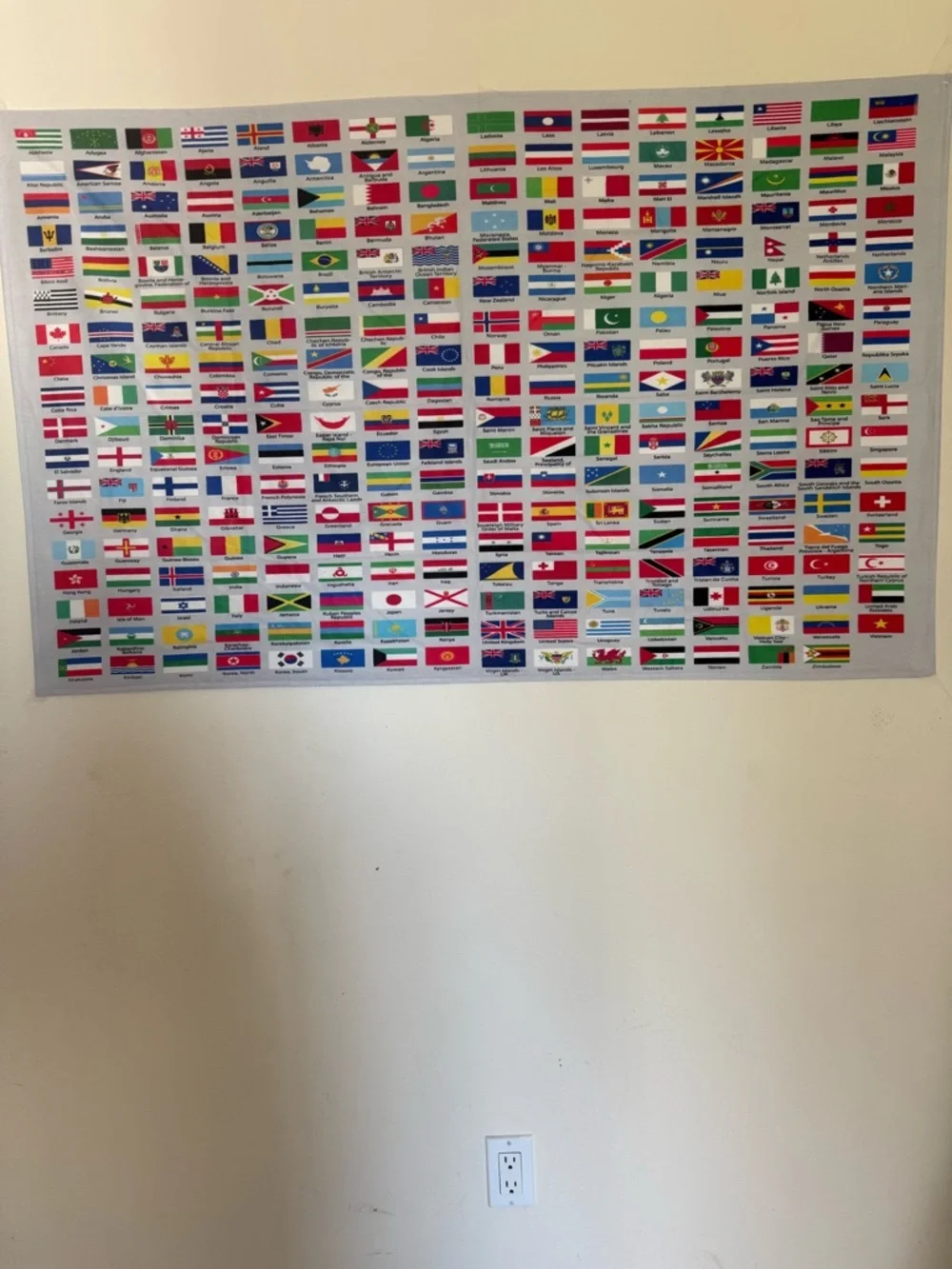 World Flags Poster Wall Decor - Multicolor